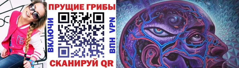 Галлюциногенные грибы GOLDEN TEACHER  хочу наркоту  Кызыл 